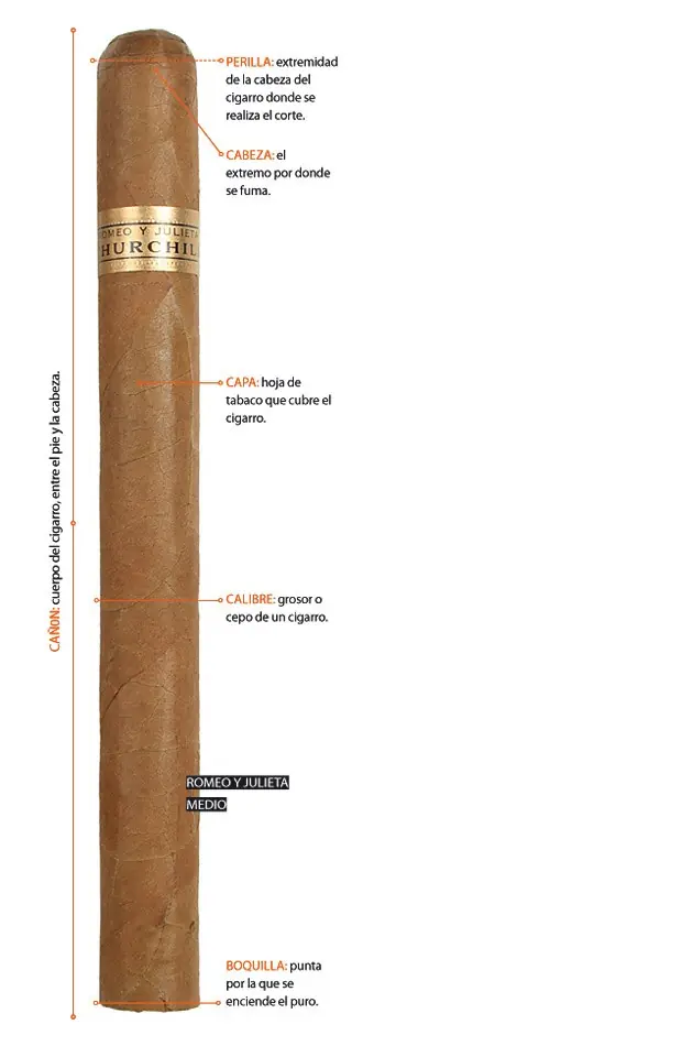 Cigarros, sus partes.