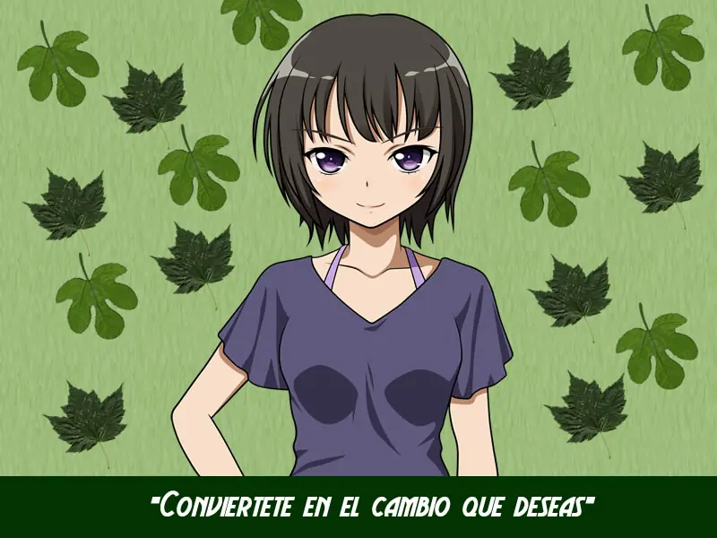 Paneles solares caseros