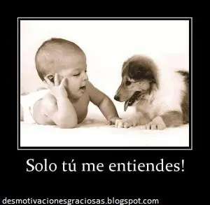 gracioso imagenes graciosas foto