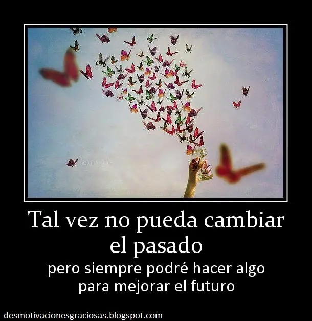 desmotivaciones graciosas