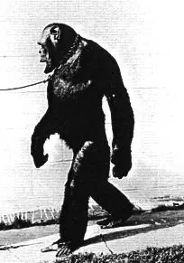 genetica