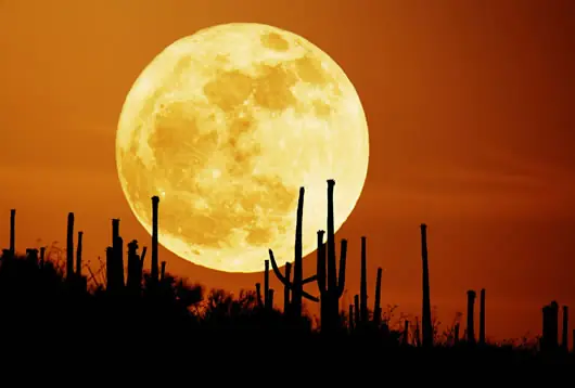 lunar