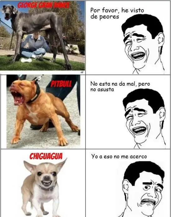 Chistes graficos 2