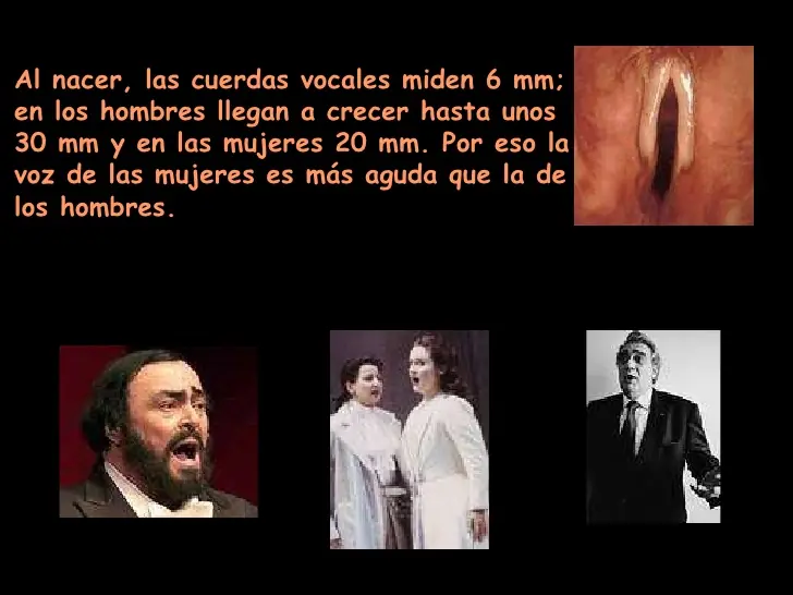 aprendizaje