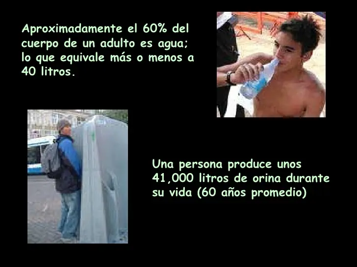 Curiosidades sobre el cuerpo Humano 1ra Parte