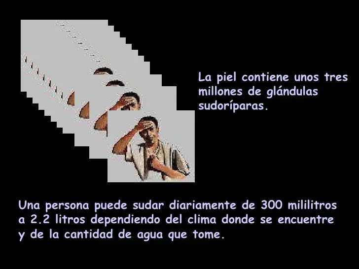 Humano
