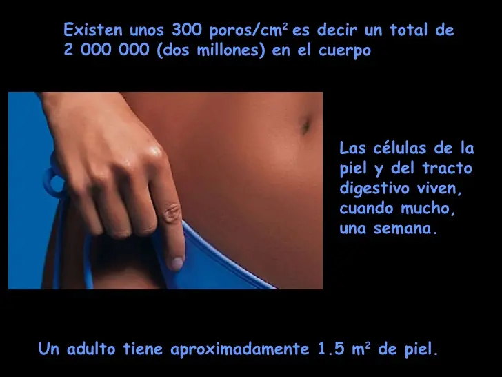 sistemas