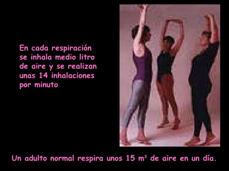 curiosidades