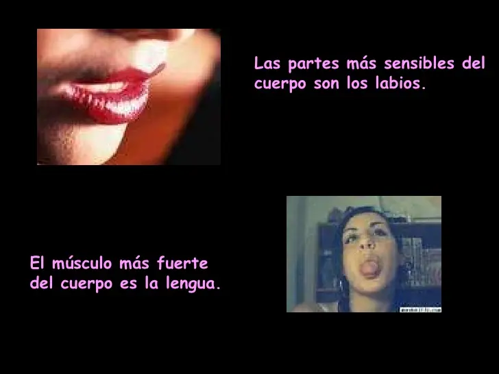 curiosidades