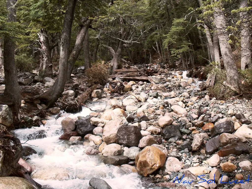 sur argentino