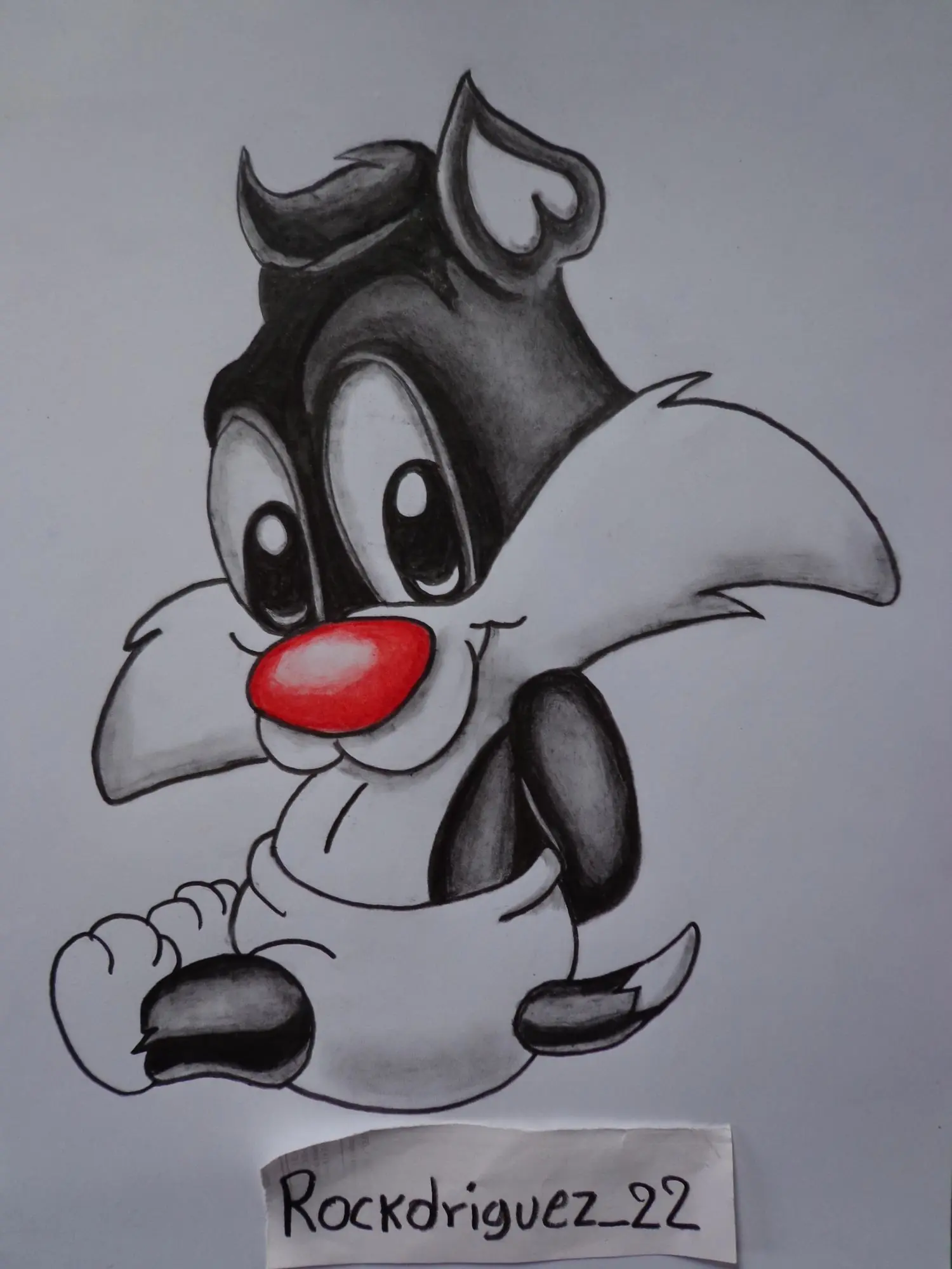 lapiz