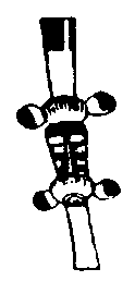 kabbalah