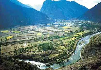 Cuzco
