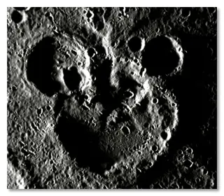 galaxias