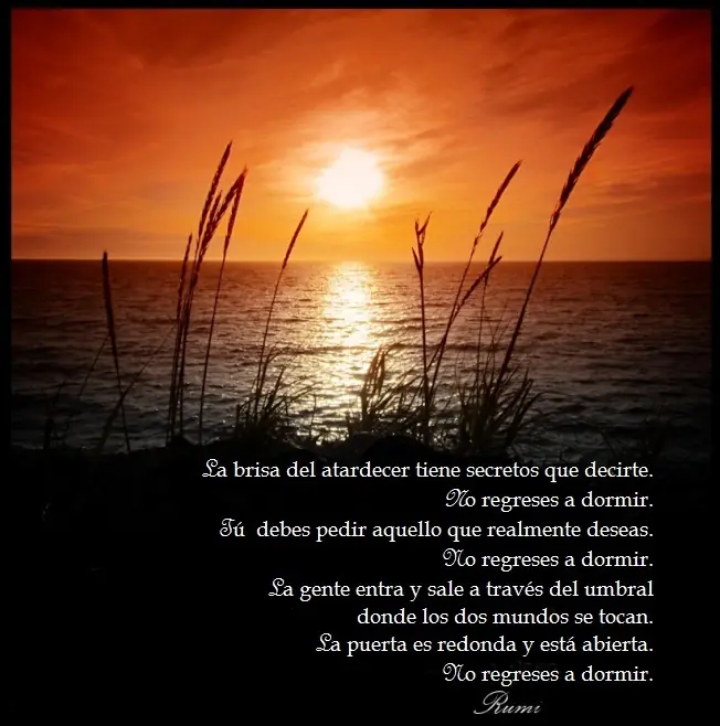 Rumi, el poeta de los místicos.