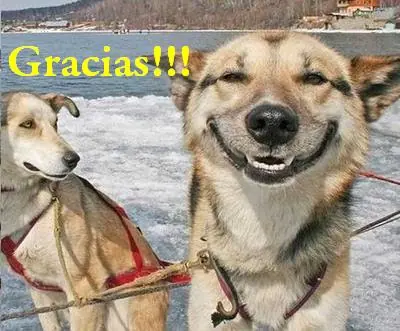ciencia