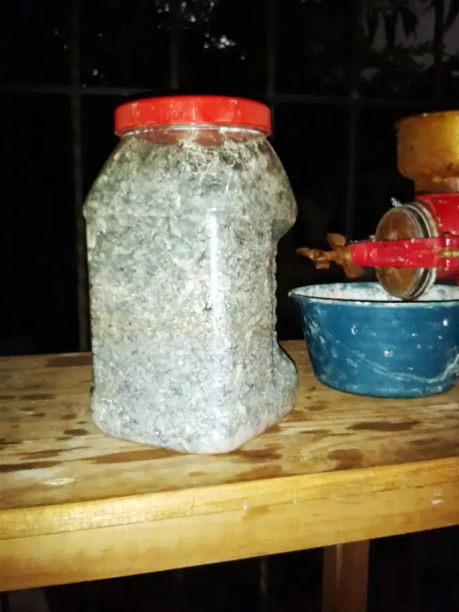 maceta casera