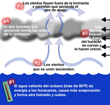 rayos
