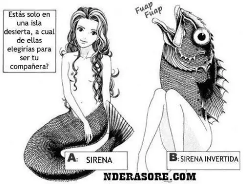 Es viernes reite o morite ..... Megapost