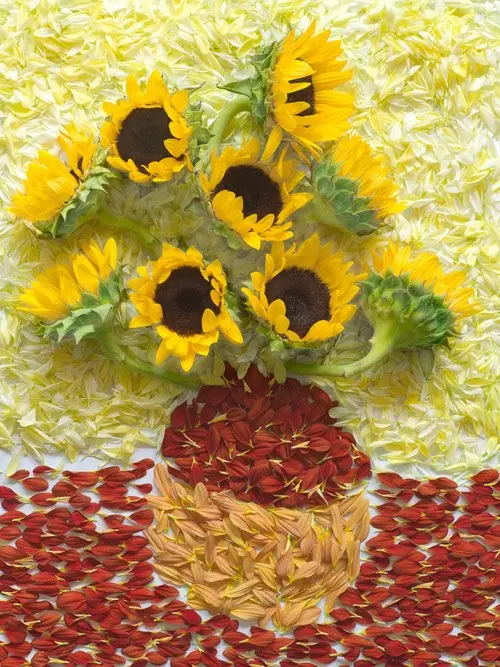 arte