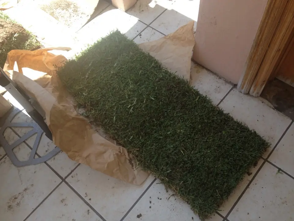 Reconstrucción
