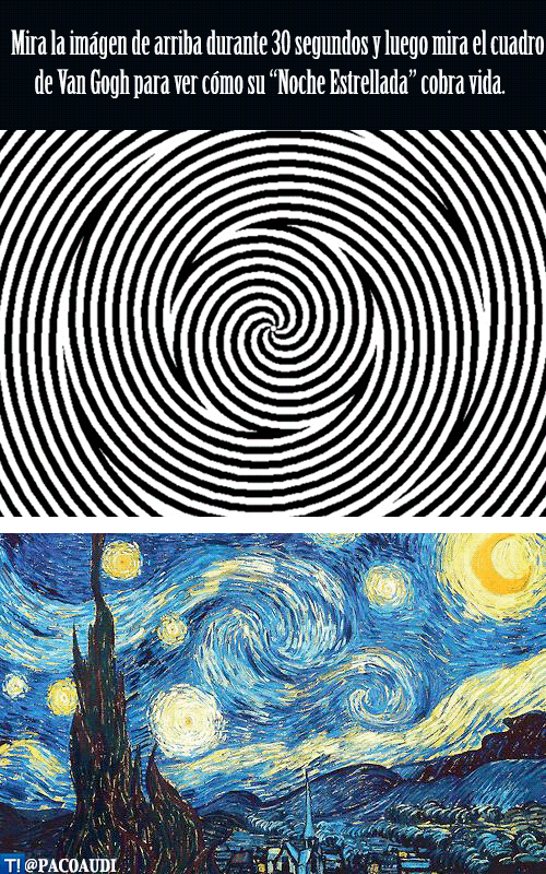 vincent