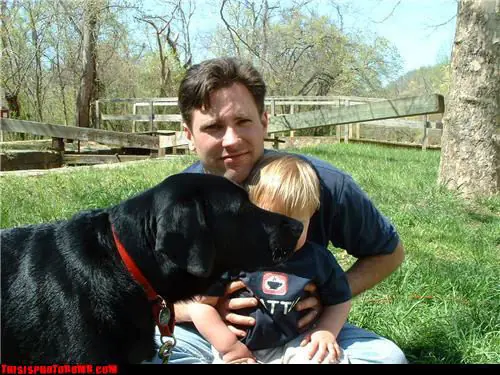 Animales arruinando fotos xD (Parte 4)