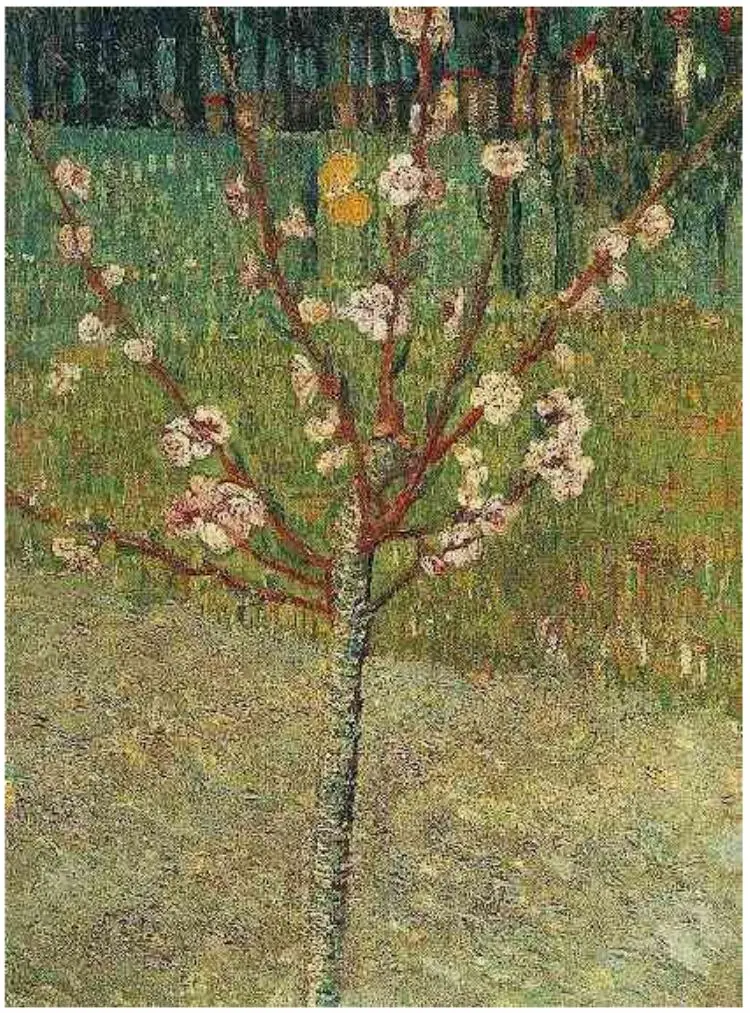 vincent van gogh