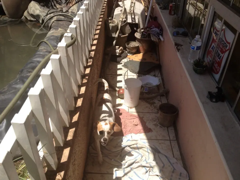 Reconstruí mi estanque y te digo cómo ;)