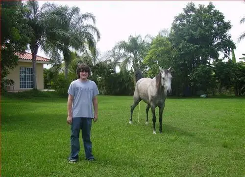 Animales