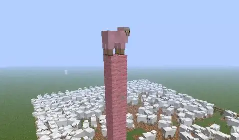 Hechos curiosos,trucos del Minecraft,enderdragon y el fin