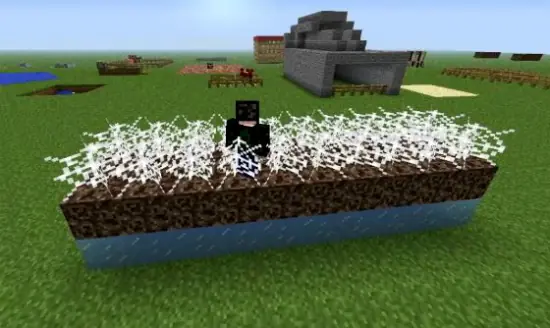enderman