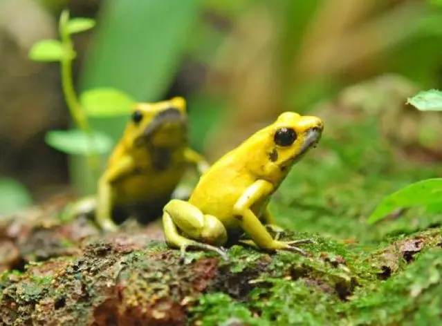 Colombia