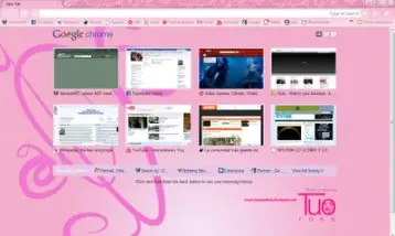 10 Temas para Google Chrome + Bonus