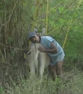 Trez Orb! Arte Macabro!