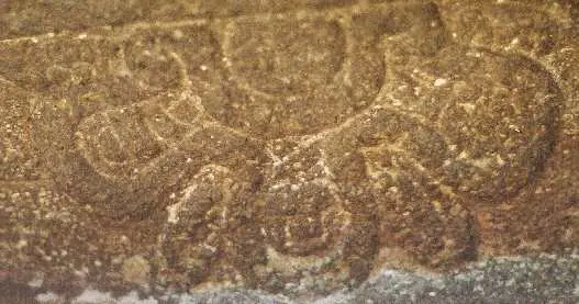 binario serpentino