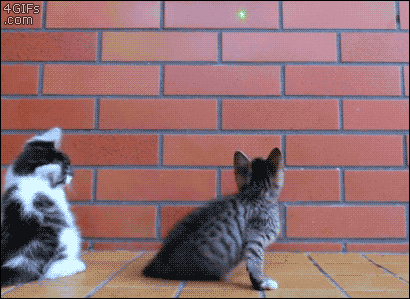 Animales trolls, pasa y reite un rato.
