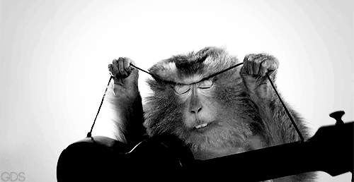 Animales