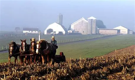 Amish