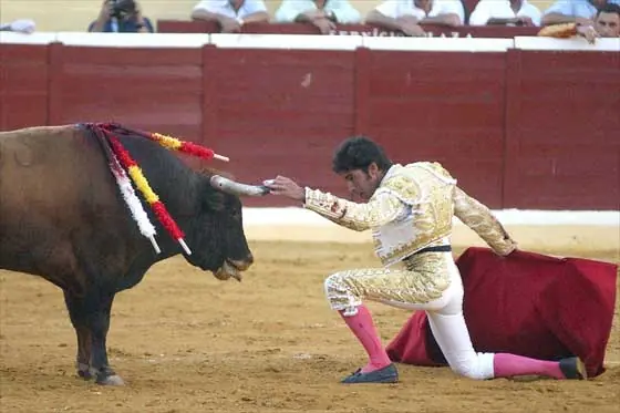 activistas