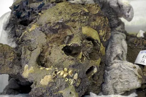 La Coqueteriá de Los NEANDERTALES