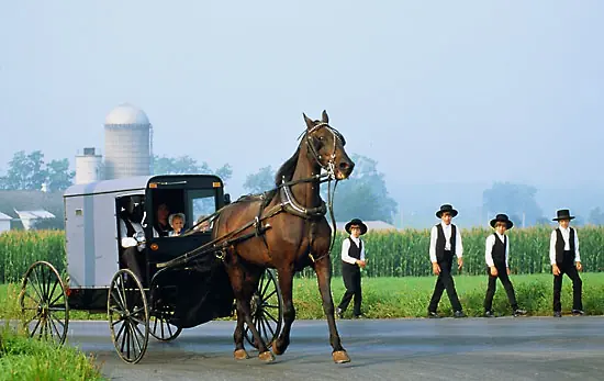 Amish, un mundo sin electricidad...
