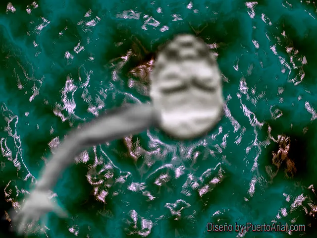 Inversos