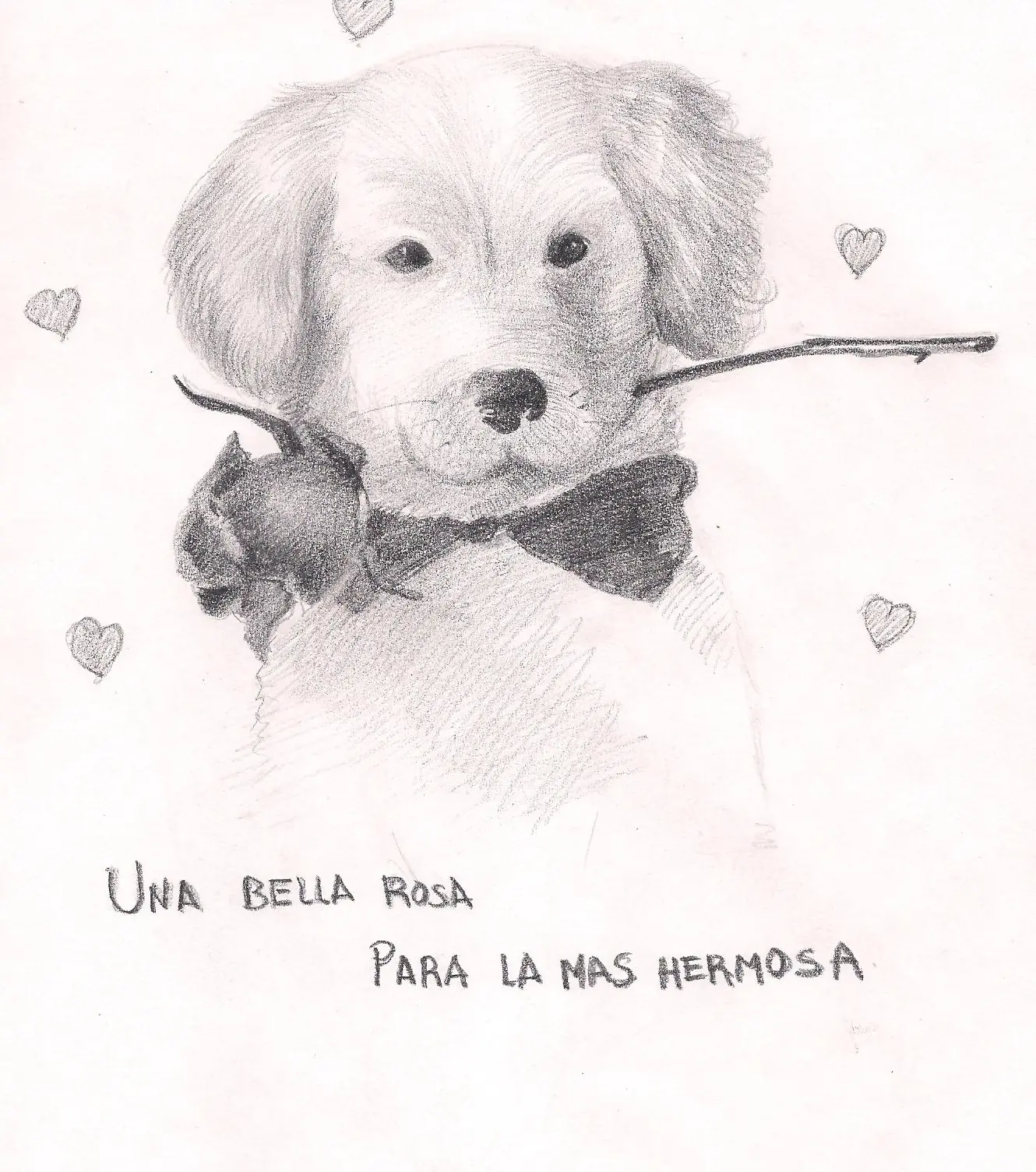 dibujo de un perrito tierno