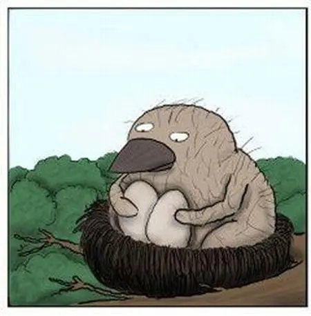 el pajaro huy huy XD historia