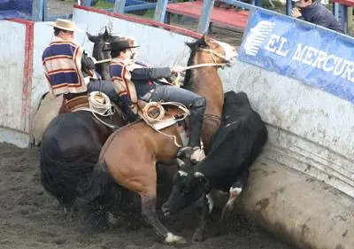Conciencia ! Humano el peor Enemigo [MEGAPOST]