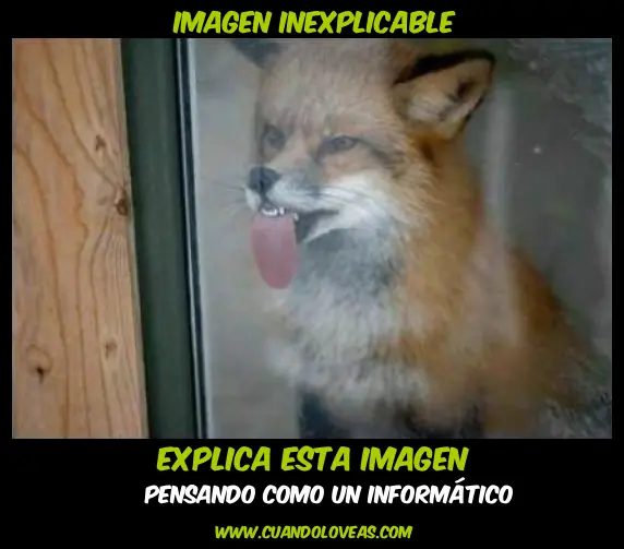 Mas de media hora te quedas..