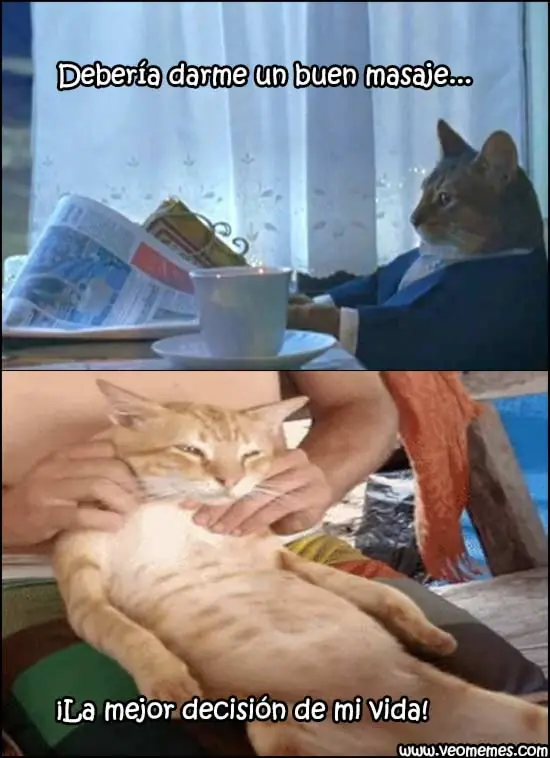 memes