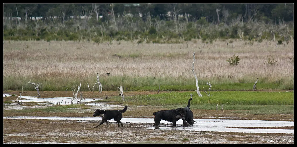 Tierra del Fuego (Argentina) a través de mi lente.