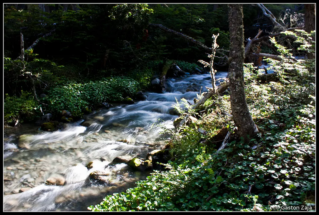 Tierra del Fuego (Argentina) a través de mi lente.